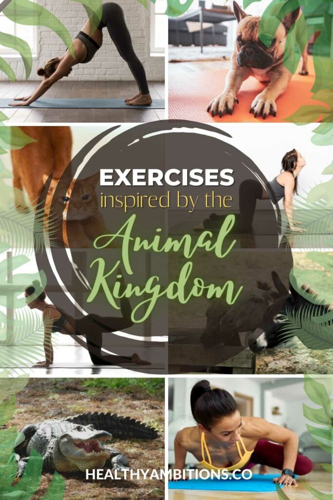Animal Exercises - Inspired by the Animal Kingdom PINTEREST