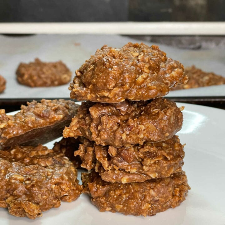 Keto No Bake Cookies FEATURE
