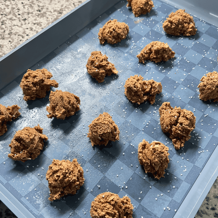 Sugar Free Keto Applesauce Cookies